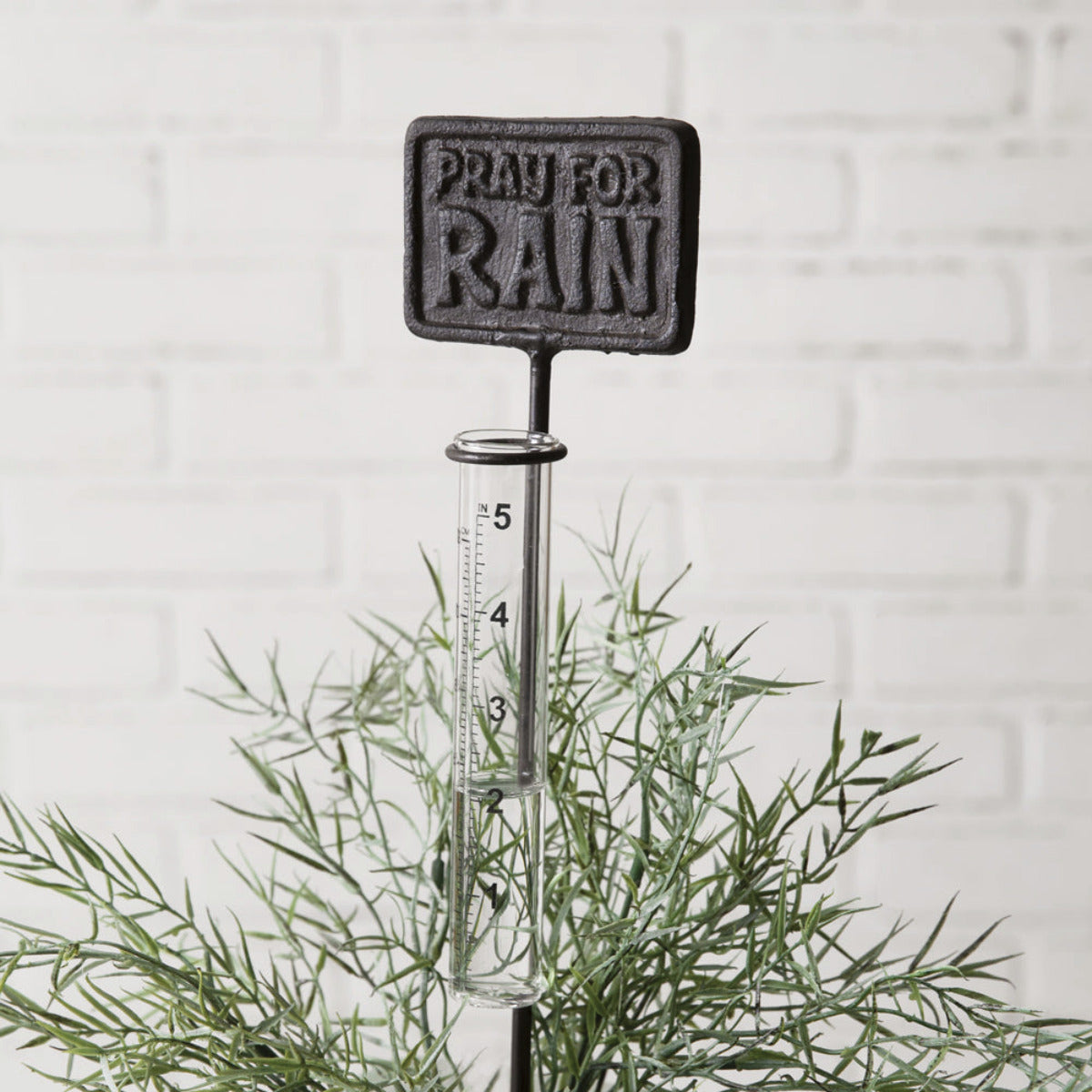 weather rain gauge