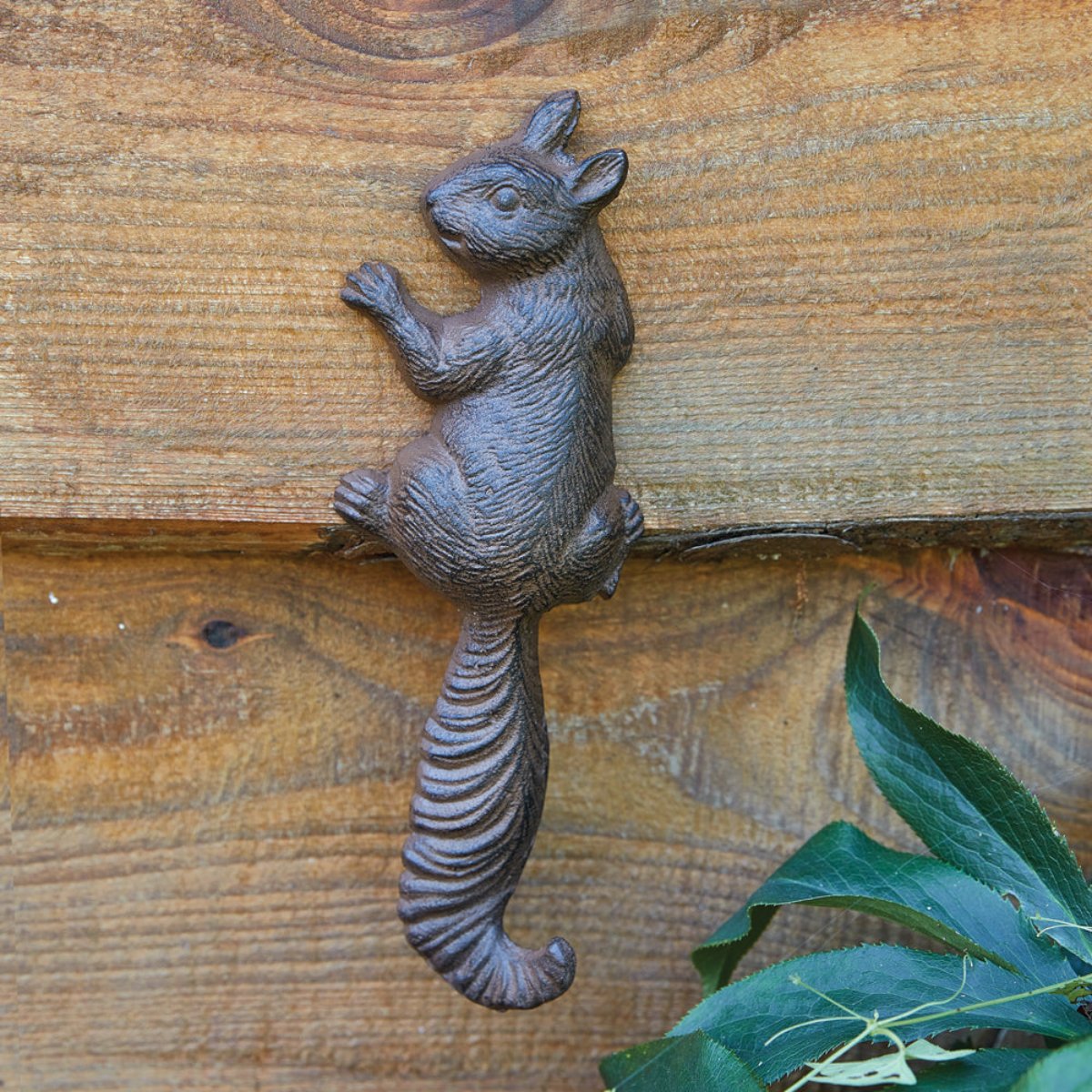 Adventurous Squirrel Wall Hooks