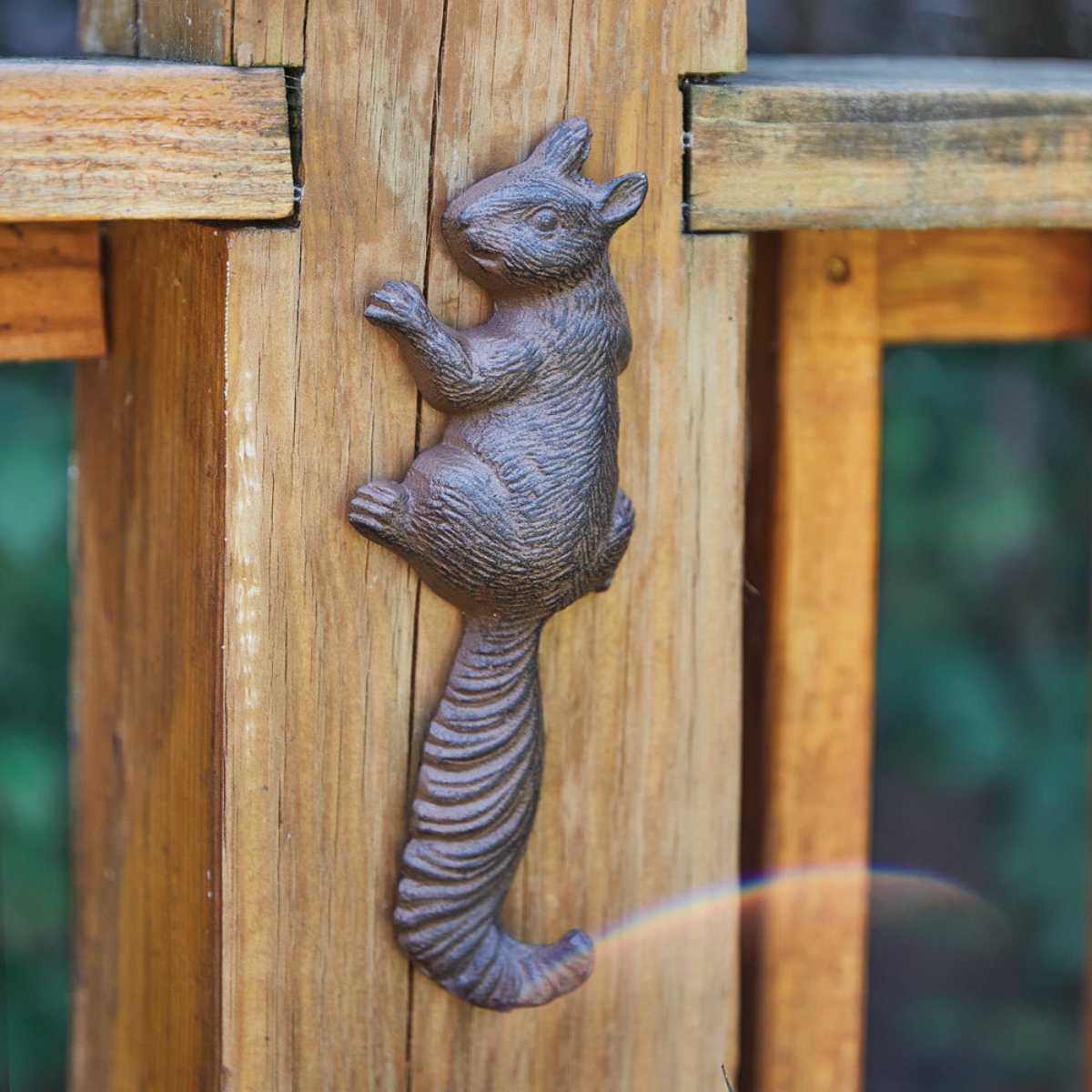 Adventurous Squirrel Wall Hooks