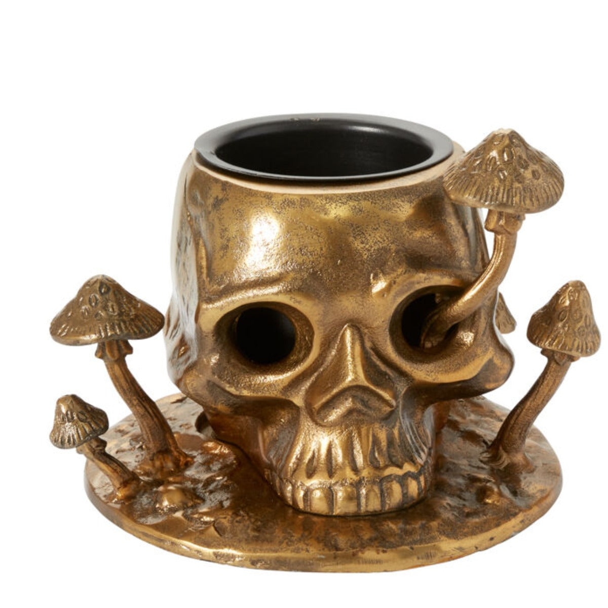 Enigmatic Alchemy Planter