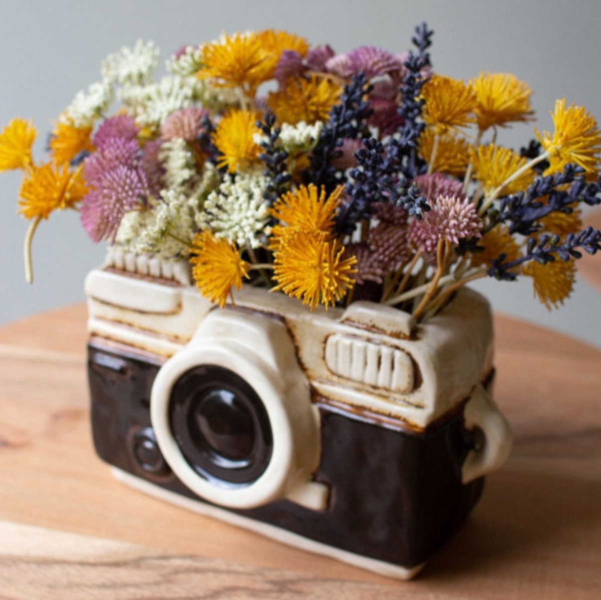 Retro Camera Planter