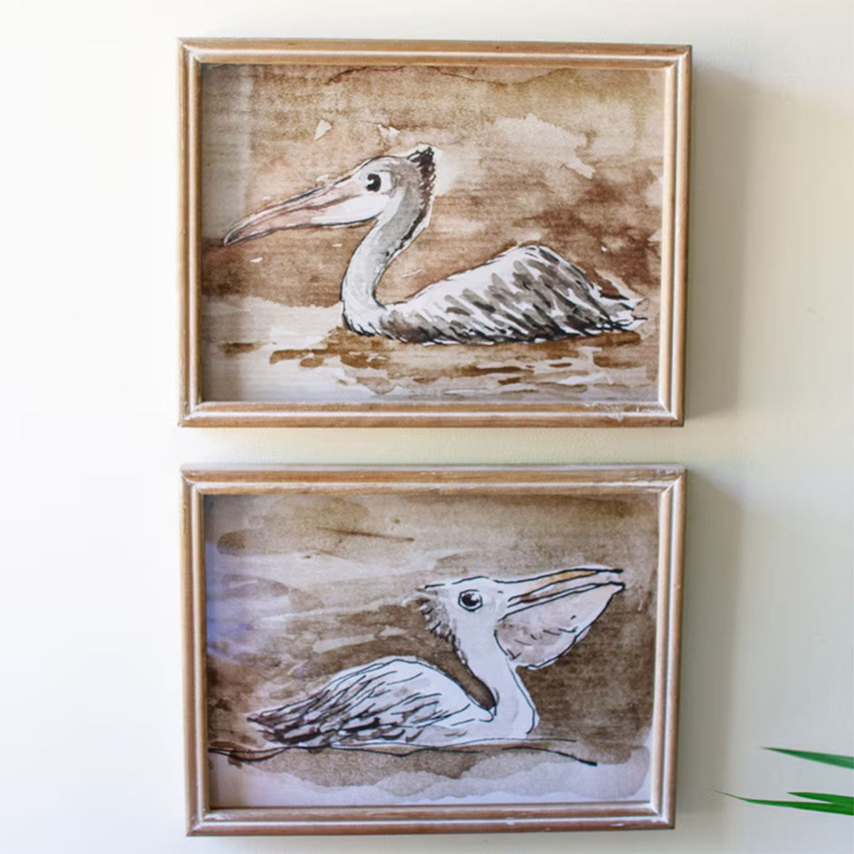 Coastal Pelican Prints