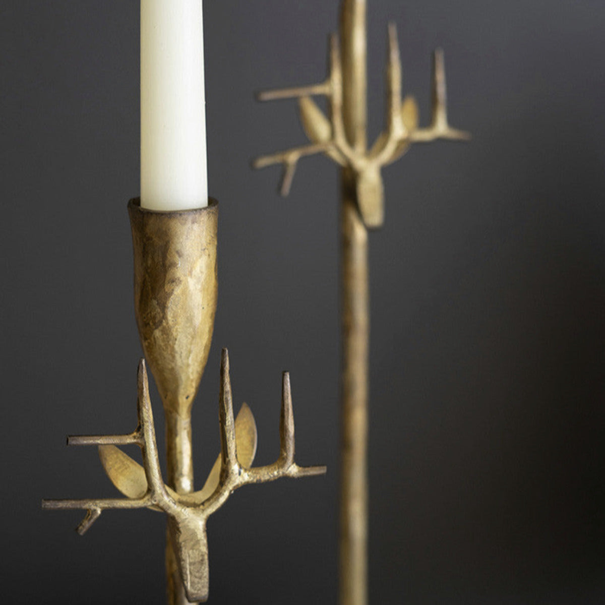 Golden Antler Elegance Trio