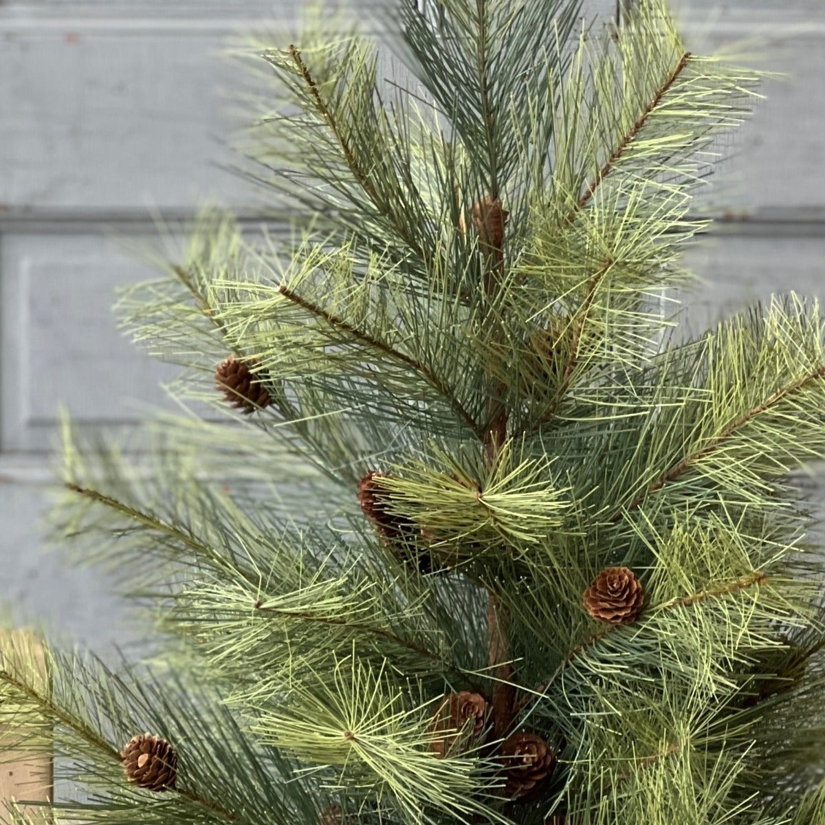 Long Needle Pine Tree - 30 - Iron Accents