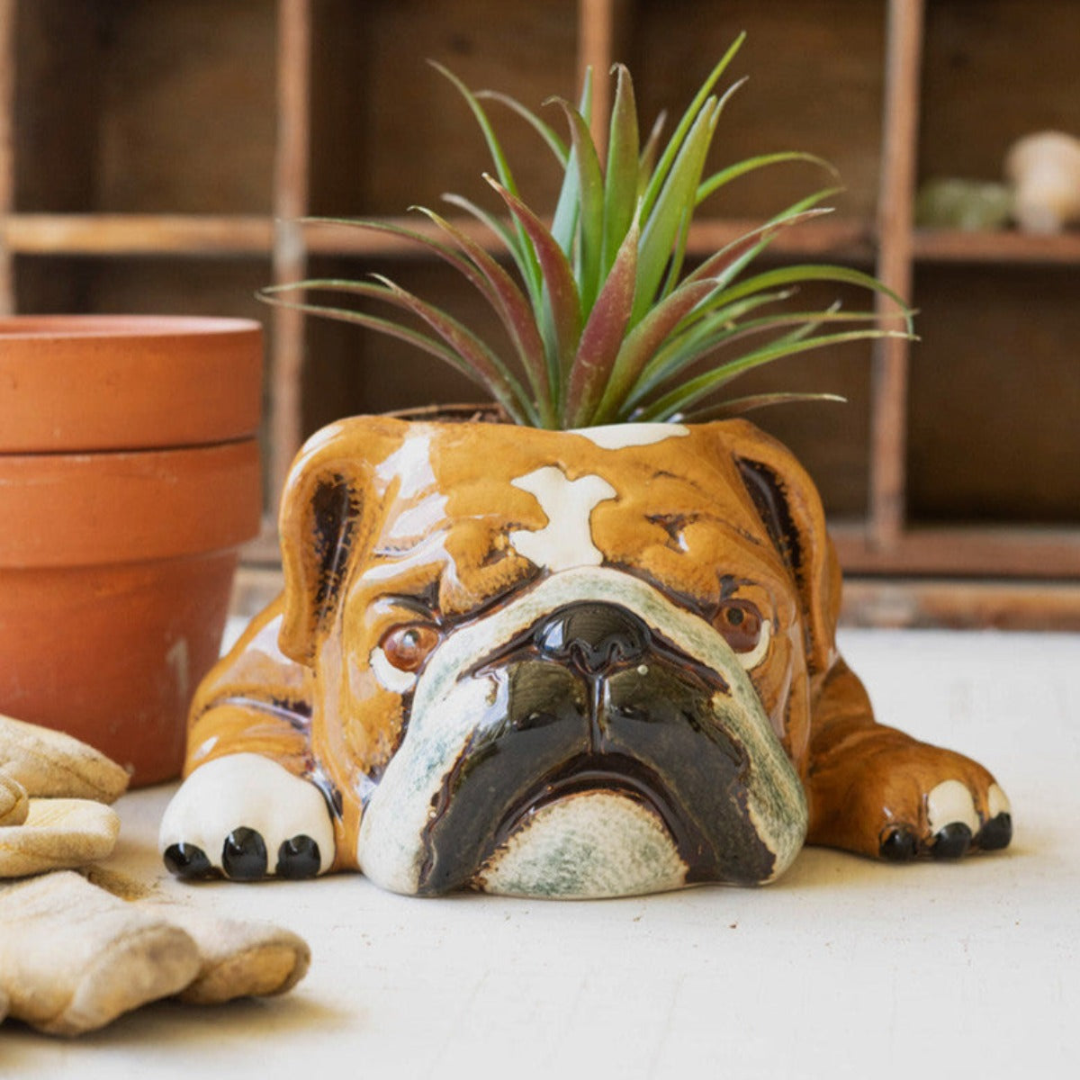 Sleepy Bulldog Planter