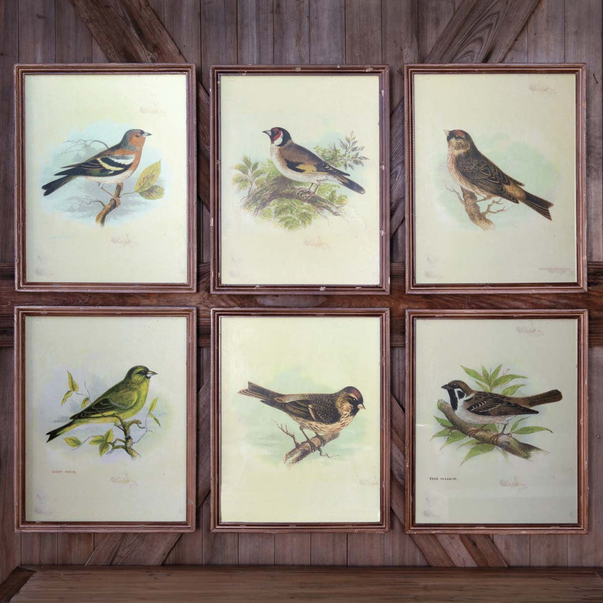 Vintage Bird Prints Set 6 Iron Accents