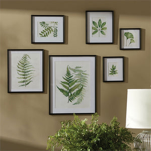 Leaf Study Galllery (Set-6)-Iron Accents