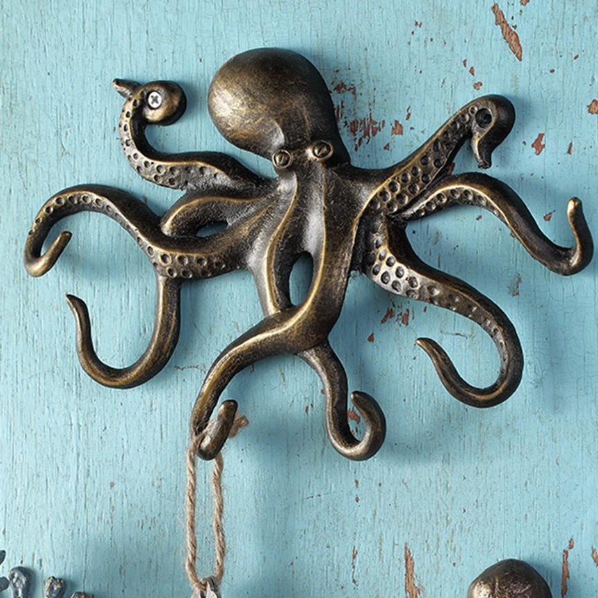hook vs octopus